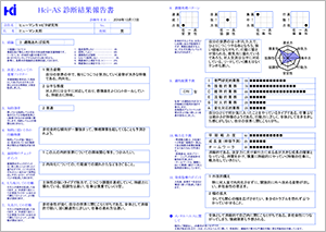 HCi-ASの報告書画像